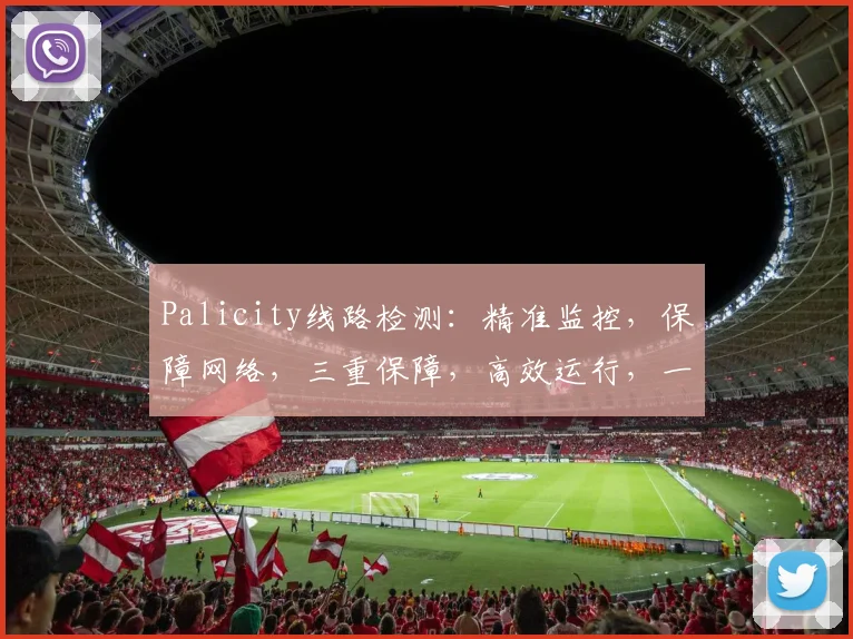 Palicity线路检测：精准监控，保障网络，三重保障，高效运行，一网打尽