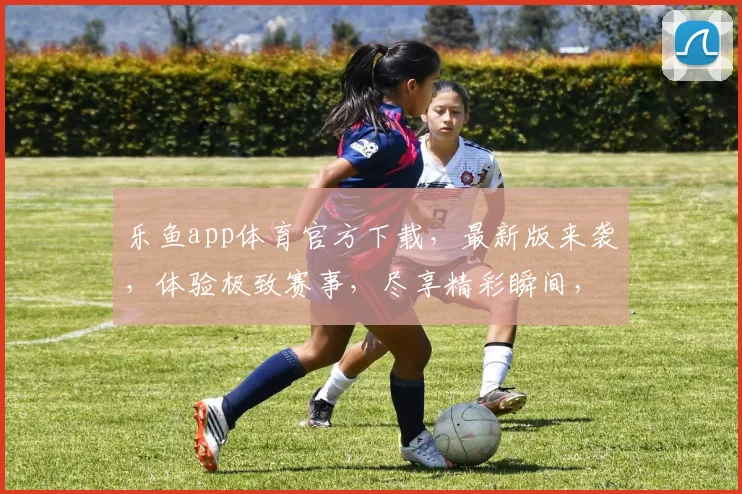 乐鱼app体育官方下载，最新版来袭，体验极致赛事，尽享精彩瞬间，不容错过