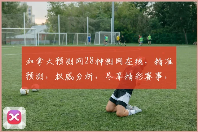加拿大预测网28神测网在线，精准预测，权威分析，尽享精彩赛事，不容错过